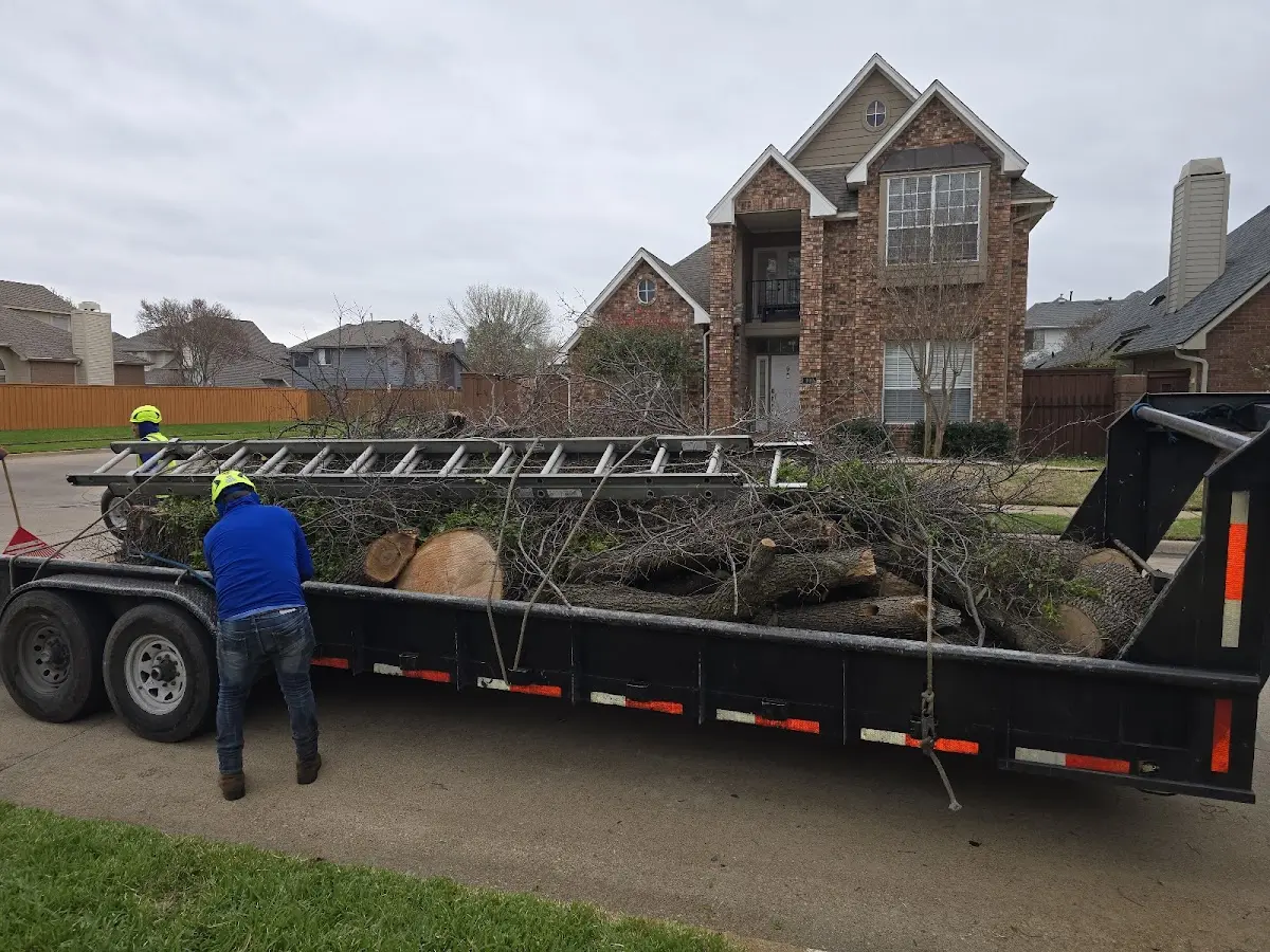 Expert Tree Pest Control with proper safety equipment in Rock Island